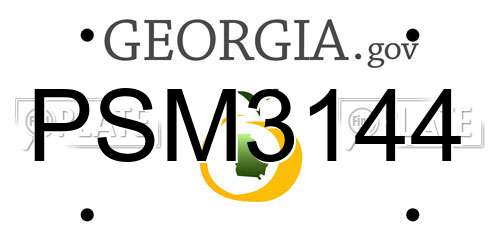 PSM3144 Georgia License Plate
