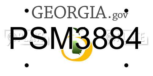 PSM3884 Georgia License Plate
