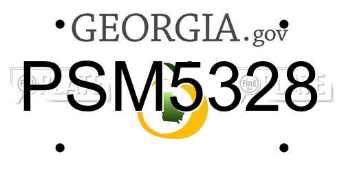 PSM5328 Georgia License Plate