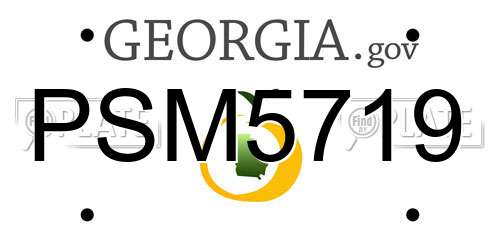 PSM5719 Georgia License Plate