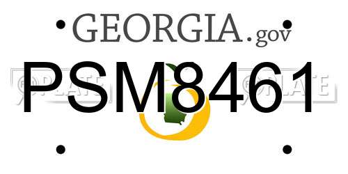 PSM8461 Georgia License Plate