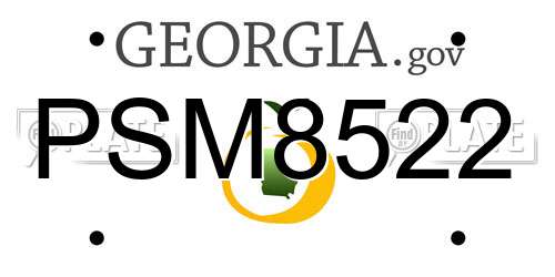 PSM8522 Georgia License Plate