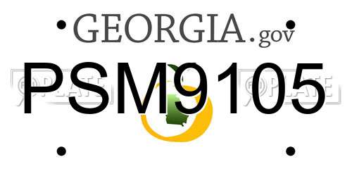 PSM9105 Georgia License Plate