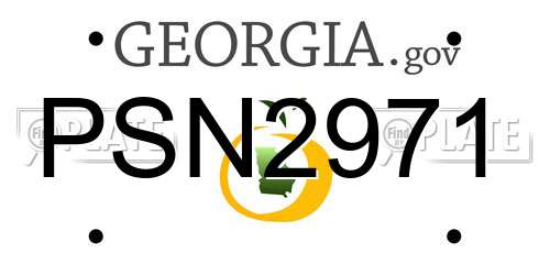 PSN2971 Georgia License Plate
