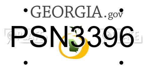 PSN3396 Georgia License Plate