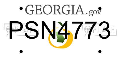 PSN4773 Georgia License Plate