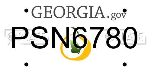 PSN6780 Georgia License Plate