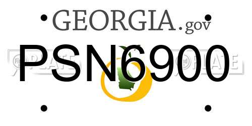 PSN6900 Georgia License Plate
