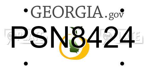 PSN8424 Georgia License Plate