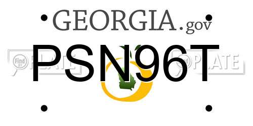 PSN96T Georgia License Plate