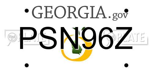 PSN96Z Georgia License Plate