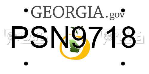 PSN9718 Georgia License Plate