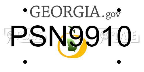PSN9910 Georgia License Plate