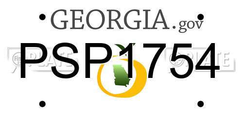 PSP1754 Georgia License Plate