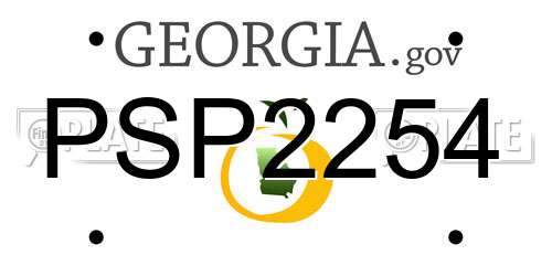 PSP2254 Georgia License Plate