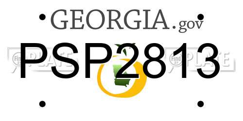 PSP2813 Georgia License Plate