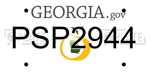 PSP2944 Georgia License Plate