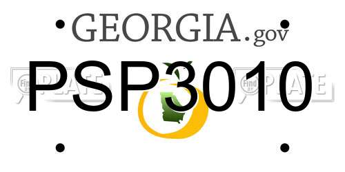 PSP3010 Georgia License Plate