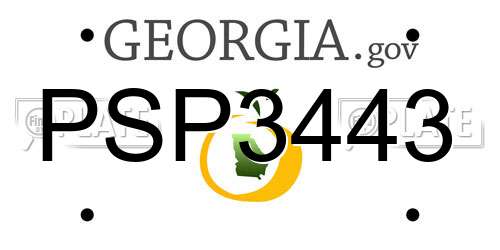 PSP3443 Georgia License Plate