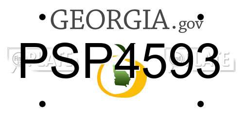 PSP4593 Georgia License Plate