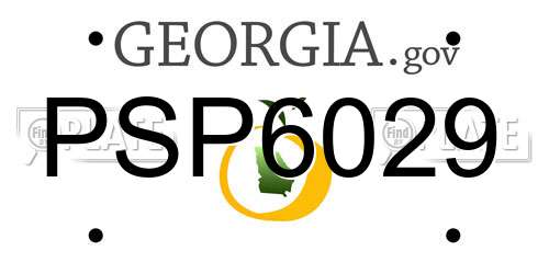 PSP6029 Georgia License Plate