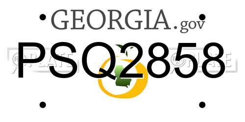 PSQ2858 Georgia License Plate