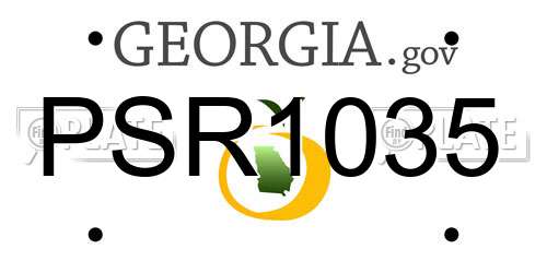 PSR1035 Georgia License Plate