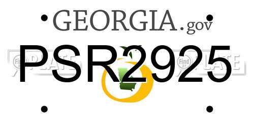 PSR2925 Georgia License Plate