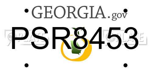 PSR8453 Georgia License Plate