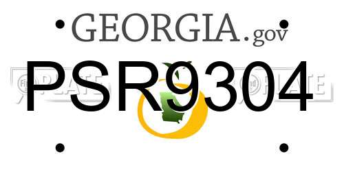 PSR9304 Georgia License Plate