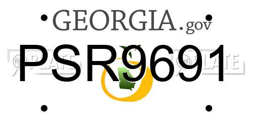 PSR9691 Georgia License Plate