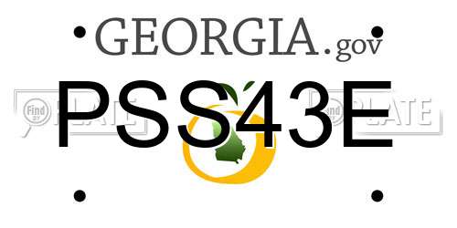 PSS43E Georgia License Plate