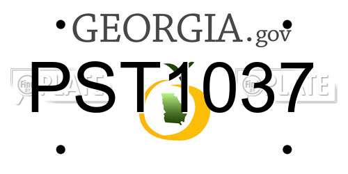 PST1037 Georgia License Plate