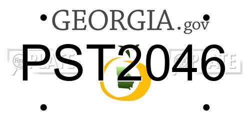 PST2046 Georgia License Plate