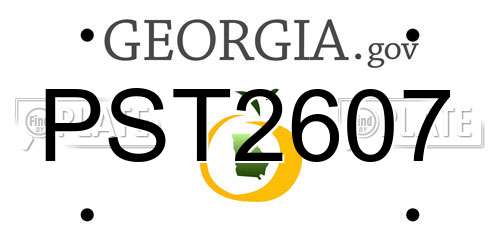 PST2607 Georgia License Plate