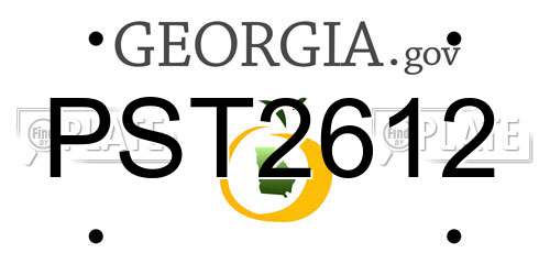 PST2612 Georgia License Plate
