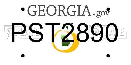 PST2890 Georgia License Plate