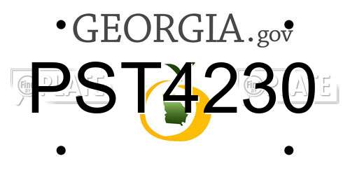 PST4230 Georgia License Plate