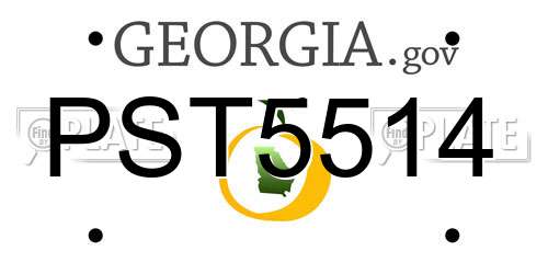 PST5514 Georgia License Plate
