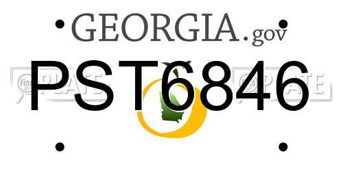 PST6846 Georgia License Plate