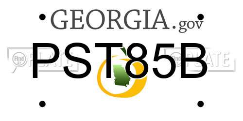 PST85B Georgia License Plate