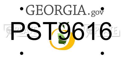 PST9616 Georgia License Plate