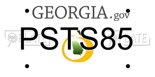 PSTS85 Georgia License Plate
