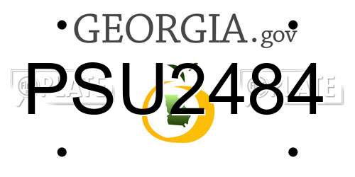 PSU2484 Georgia License Plate