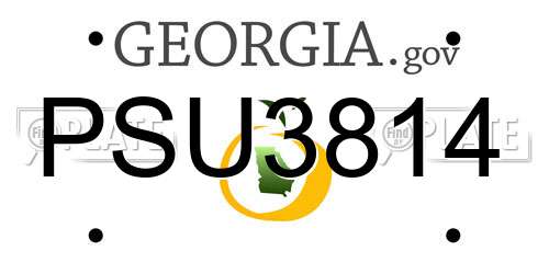 PSU3814 Georgia License Plate