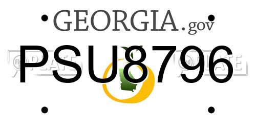 PSU8796 Georgia License Plate