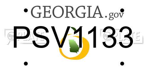 PSV1133 Georgia License Plate