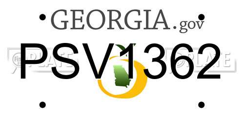 PSV1362 Georgia License Plate