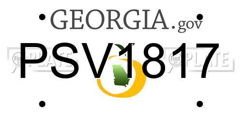 PSV1817 Georgia License Plate