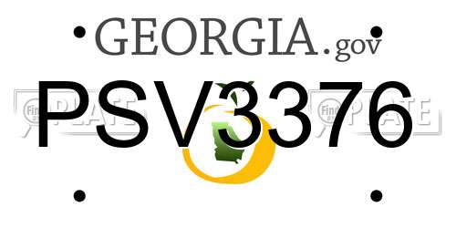 PSV3376 Georgia License Plate